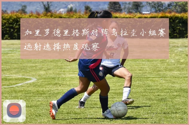 加里罗德里格斯对阵乌拉圭小组赛远射选择热度观察
