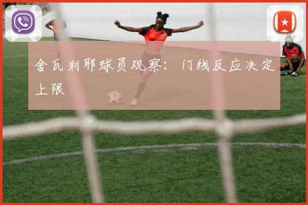 舍瓦利耶球员观察：门线反应决定上限