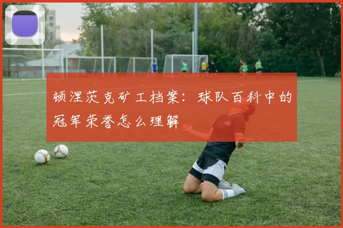 顿涅茨克矿工档案：球队百科中的冠军荣誉怎么理解