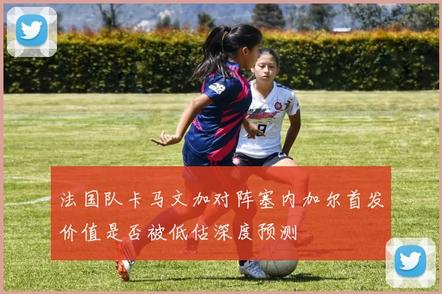 法国队卡马文加对阵塞内加尔首发价值是否被低估深度预测